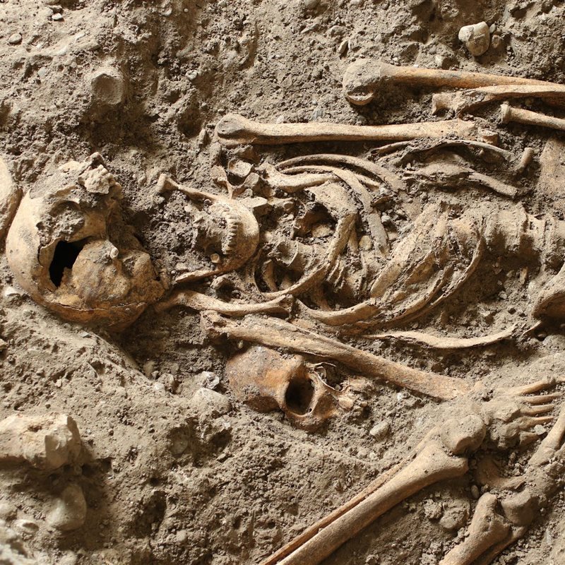 Decenas de esqueletos de la Edad Media salen a la luz en un instituto de Suiza
