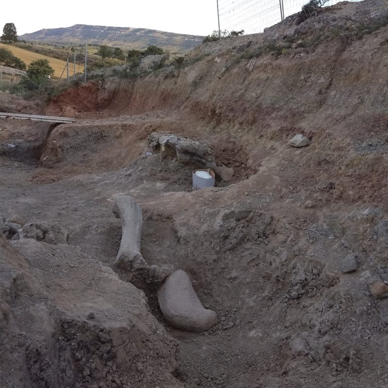 Provincia de Burgos: ¿los huesos de una nueva especie de dinosaurio saurópodo?