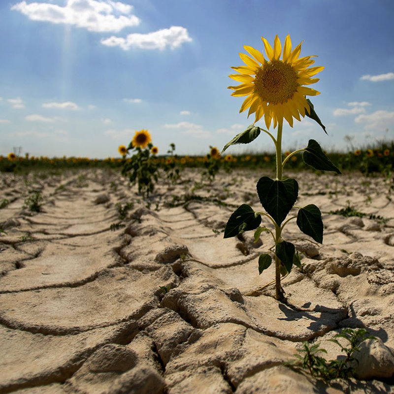España, cada vez más vulnerable al cambio climático