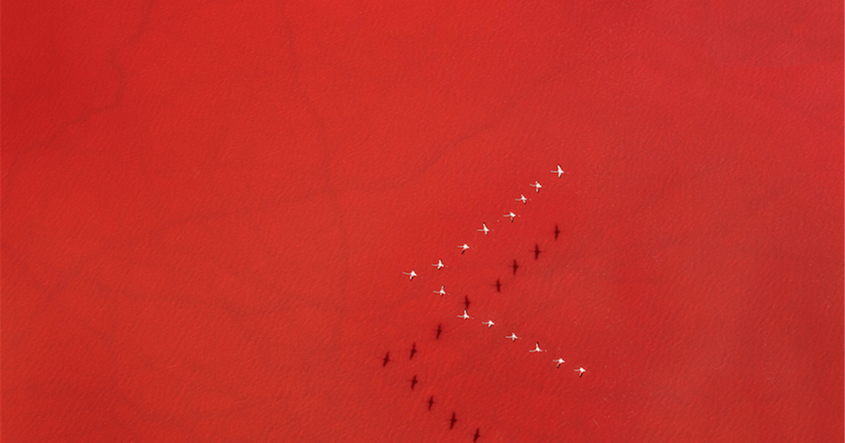Los ganadores del International Landscape Photographer of the Year 2016