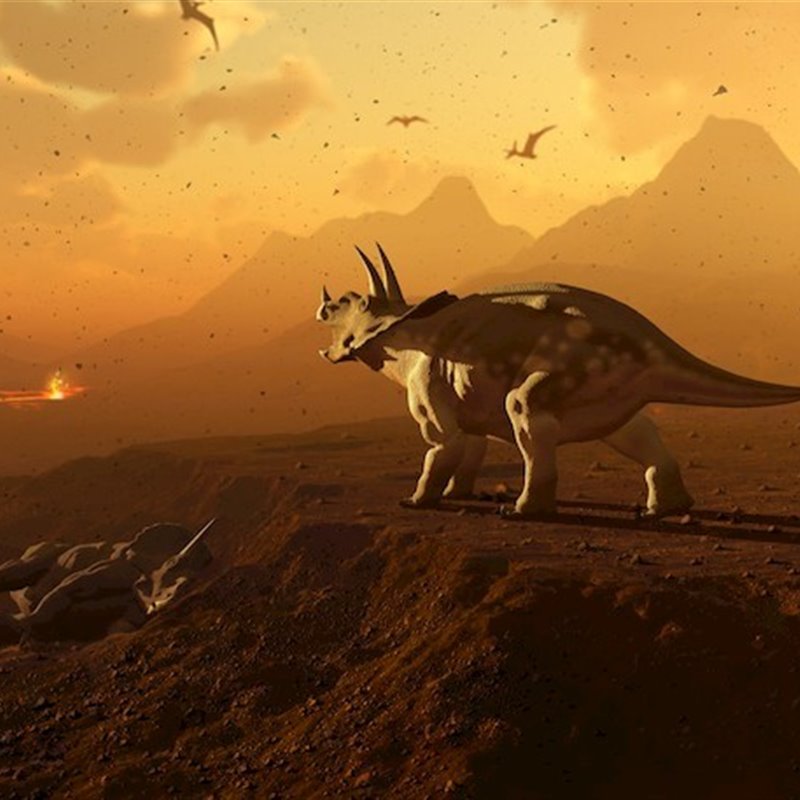 Meteorito o volcán: la extinción de los dinosaurios a debate