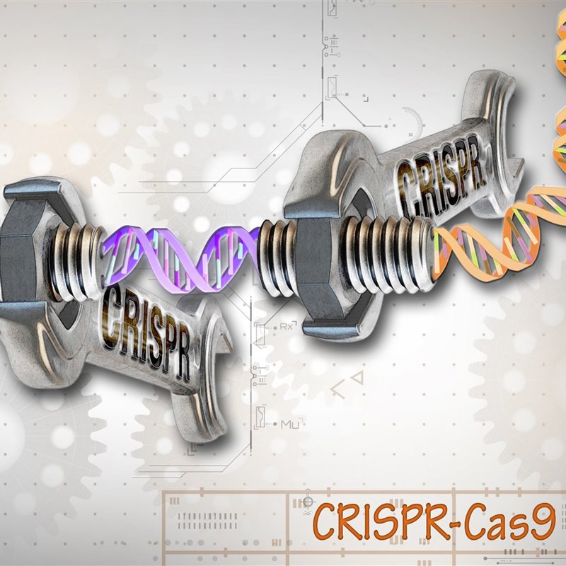 Cómo ha cambiado CRISPR la edición genética
