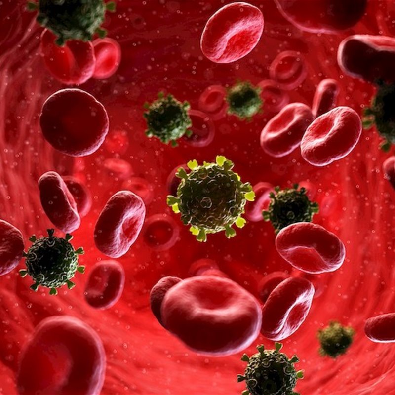 Virus del VIH en el torrente sanguineo