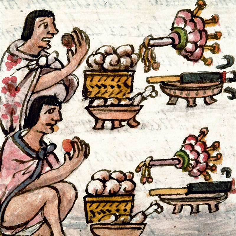 El día a día de los nobles aztecas
