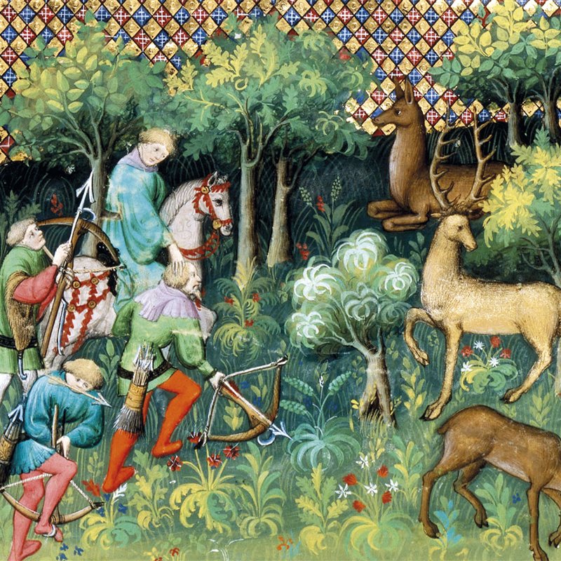 Robin Hood y la ley del bosque de Sherwood