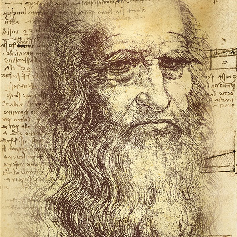 Leonardo da Vinci: los últimos años del genio del Renacimiento