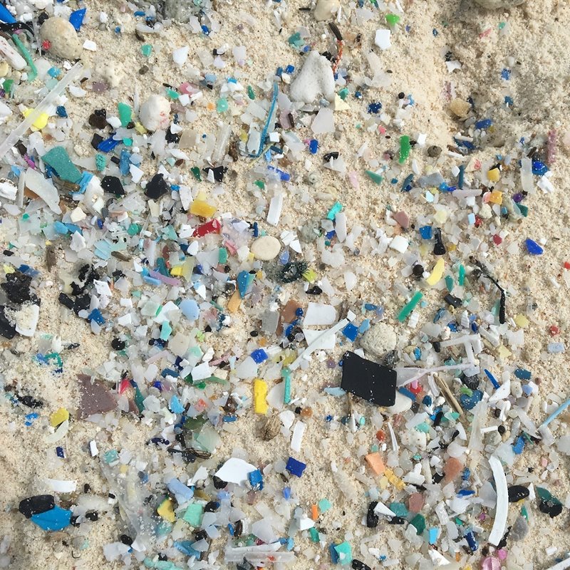 Las Islas Cocos están al borde del colapso por el exceso de plásticos