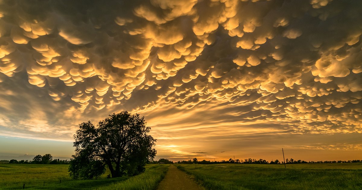 nubes-mammatus_6c9c5f5f_1200x630.jpg (1200×630)