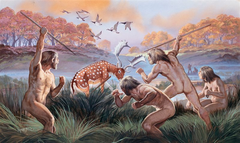 Análisis de las heridas en los huesos de animales provocadas por los neandertales demuestran que los homínidos eran cazadores expertos.