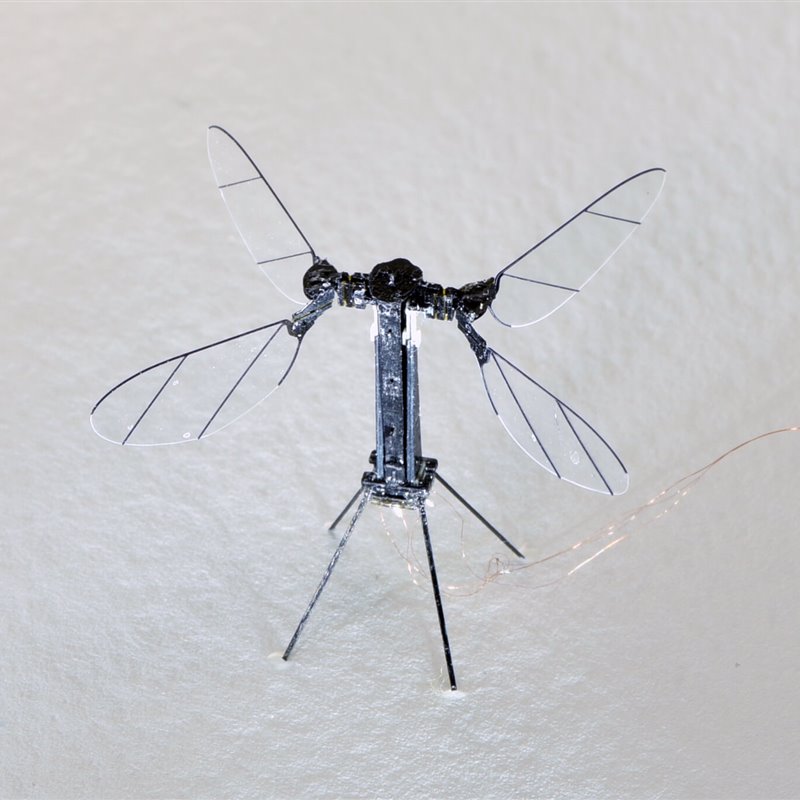 Así es RoboBee, el increíble robot insecto