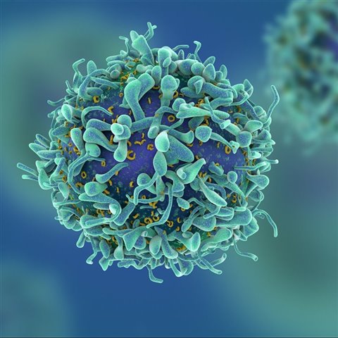 Reportajes y fotografías de Sida en National Geographic