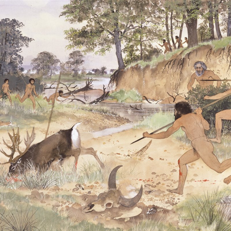 La degradación ambiental se remonta a hace 10.000 años