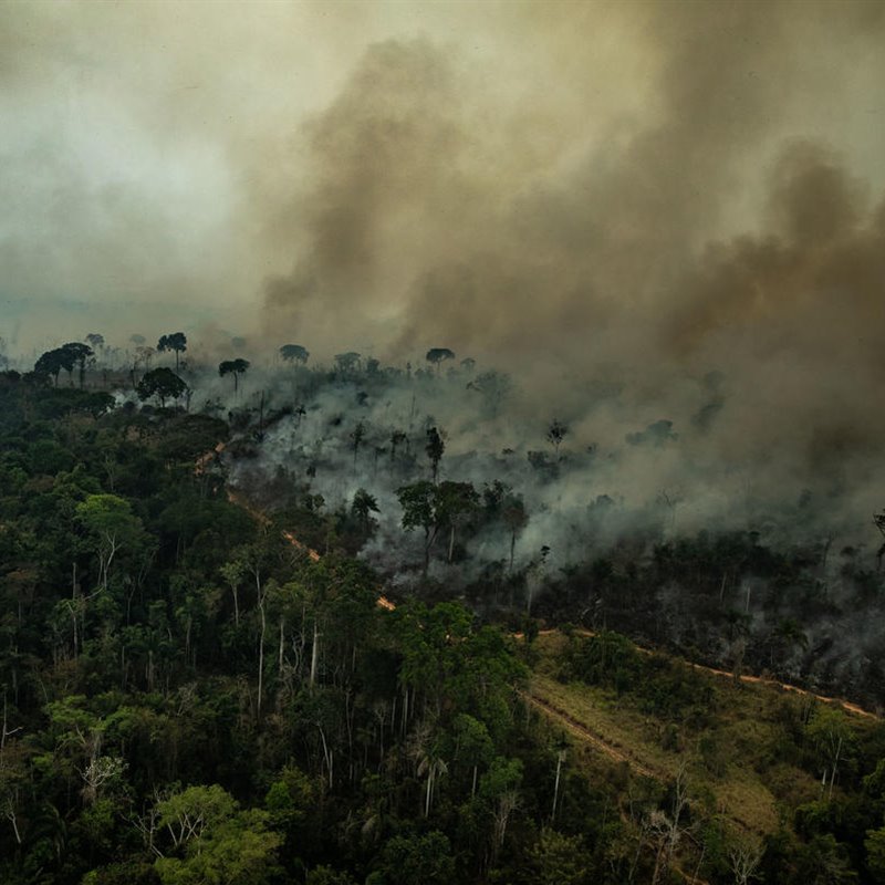 Los incendios de la zona tropical no generan grandes llamaradas como sí ocurre en muchos incendios en España