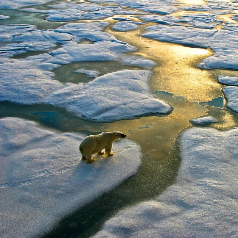 El Ártico, un termómetro del Cambio Climático