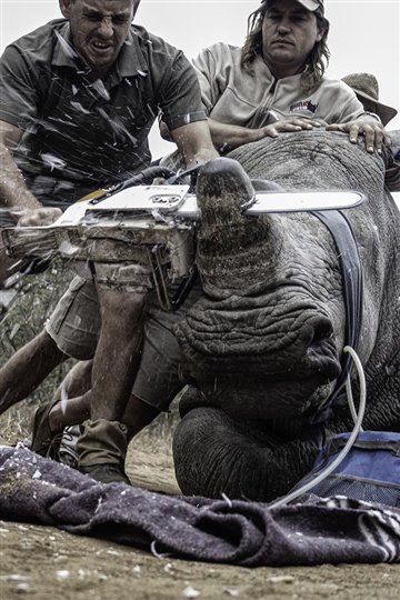 Conoce a los ganadores del Enviromental Photographer of the Year 2019