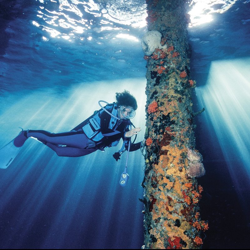 Sylvia Earle, pionera de la exploración submarina