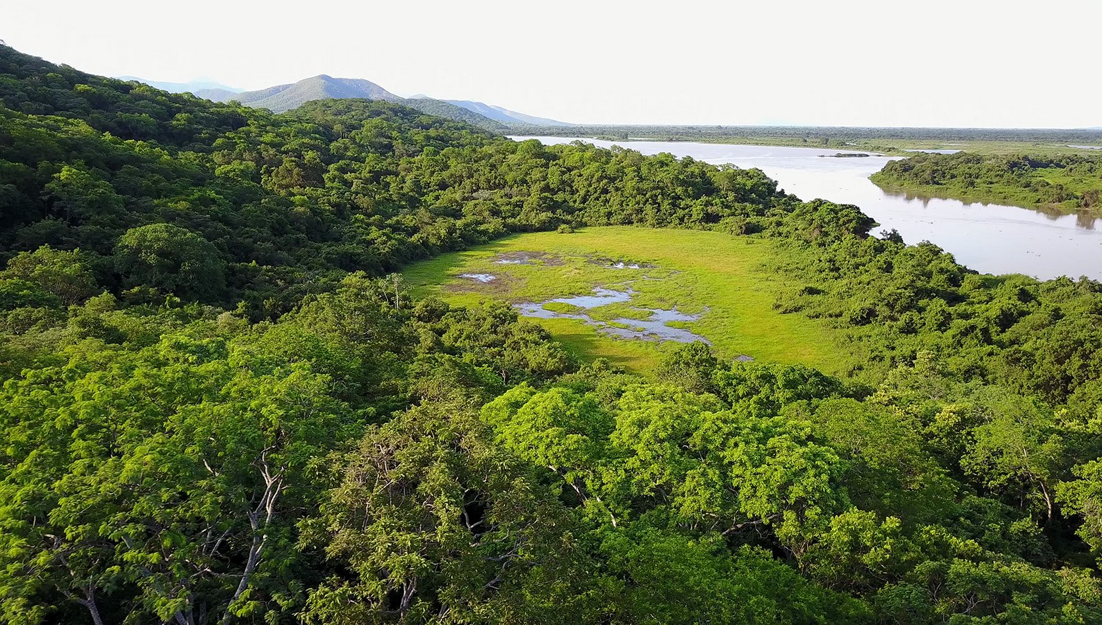 El Pantanal, una de las áreas húmedas más extensas del mundo