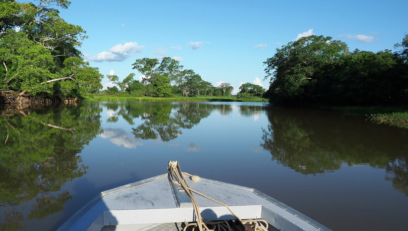 Navegando en lancha a la búsqueda de jaguares en el río Paraguay. 