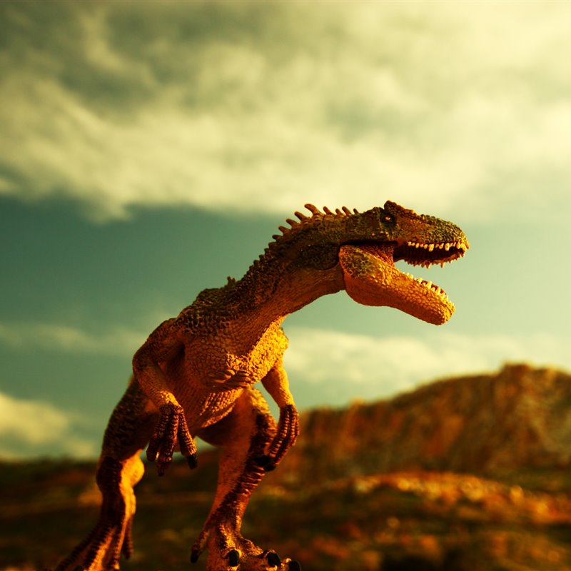 La curiosa forma de crecer de los T. rex 