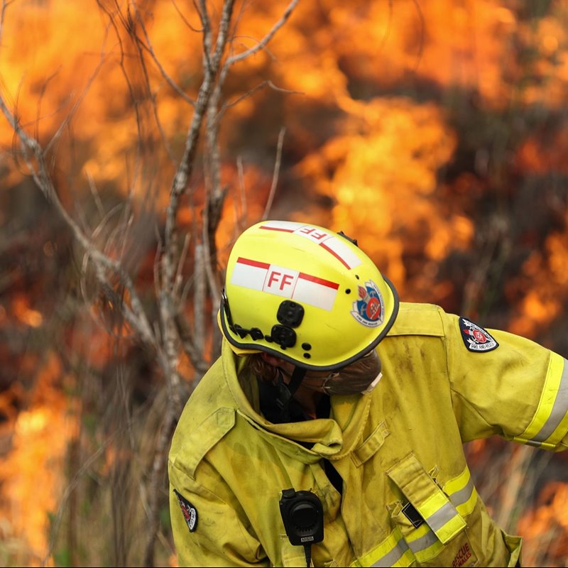 Australia en llamas: una catástrofe para la salud, la economía y la biodiversidad