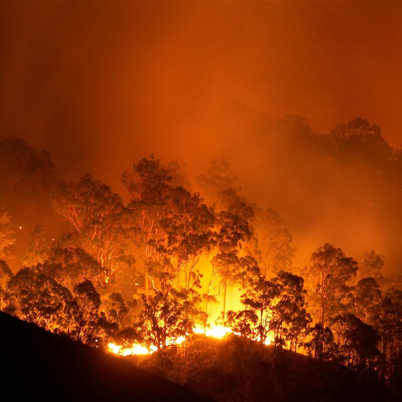 Los incendios de Australia en números