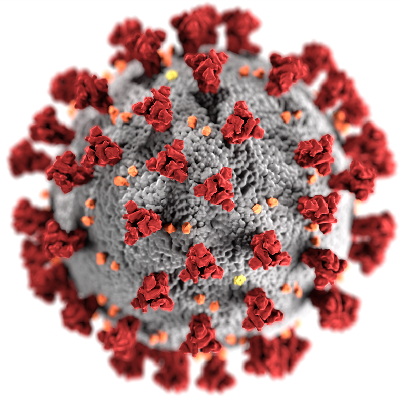 Coronavirus rojo