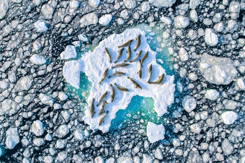 Conoce a los ganadores del Nature TTL Photographer of the Year