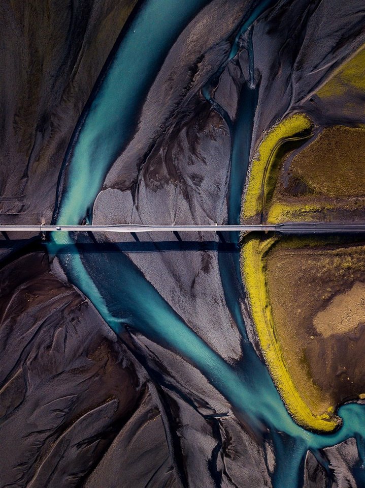 Conoce a los ganadores del Nature TTL Photographer of the Year