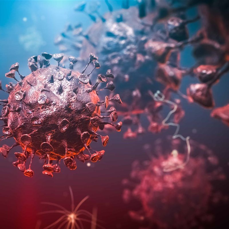 La reacción del sistema inmunitario contra el coronavirus puede ser letal