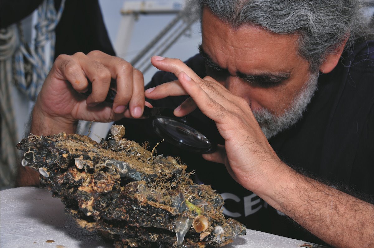 Ricardo Aguilar analizando de cerca una muestra submarina.