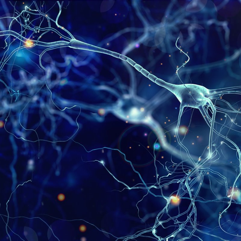 Representación de la interconexión entre neuronas. 
