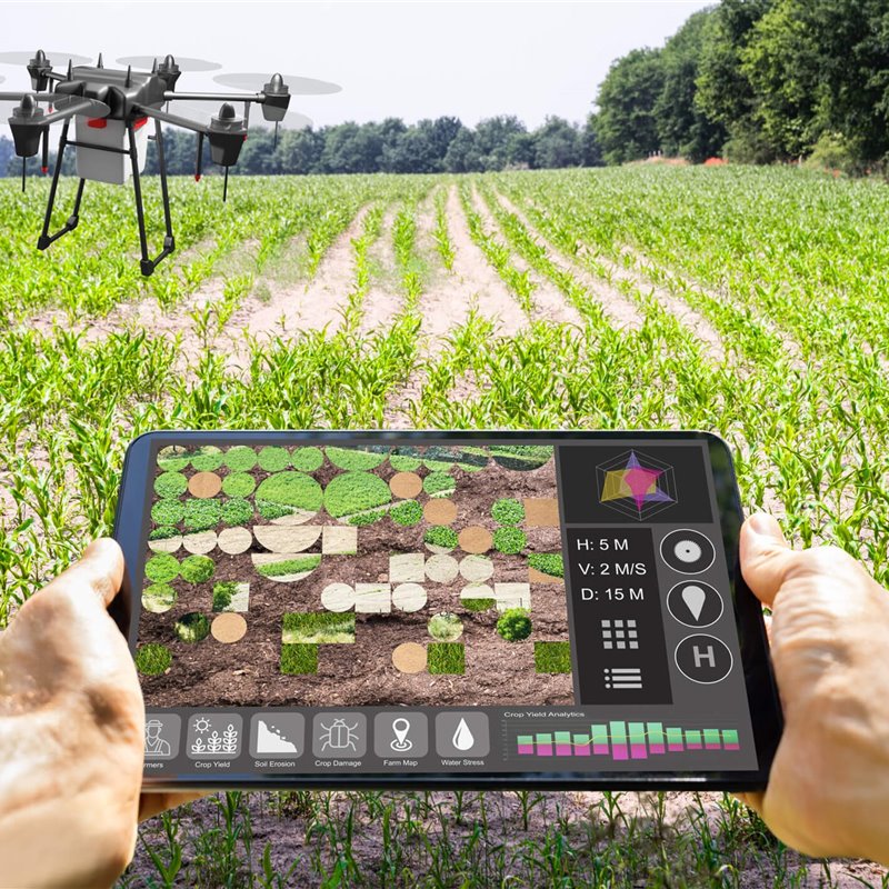 La agricultura en la Era Digital: un mundo (no tan) interconectado 