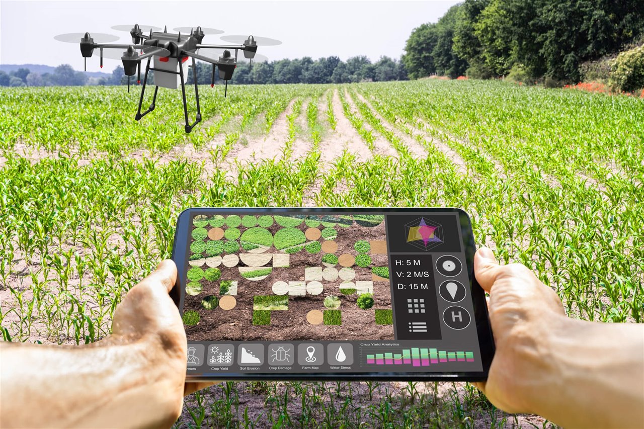 La Agricultura En La Era Digital: Un Mundo (no Tan) Interconectado