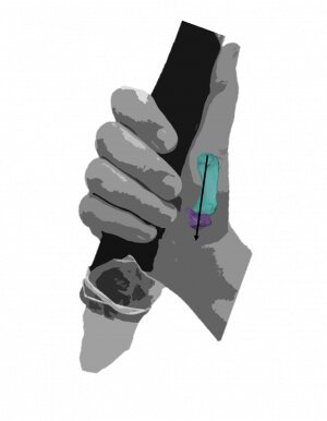 Una mano humana moderna que demuestra su poder de agarre 'apretando', probablemente utilizado por los neandertales para agarrar artefactos de gran tamaño.