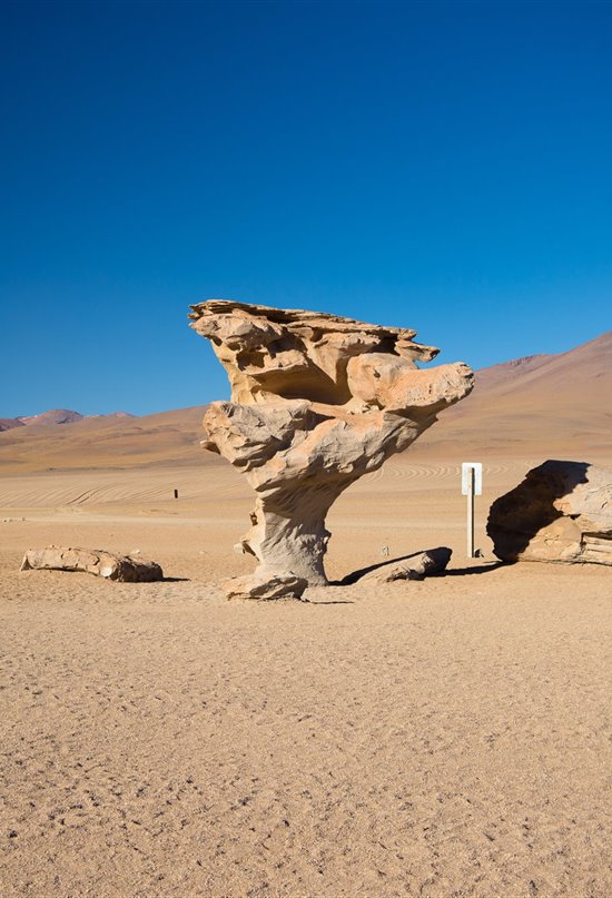 Los "puntos fríos" y la nueva paradoja de la biodiversidad 