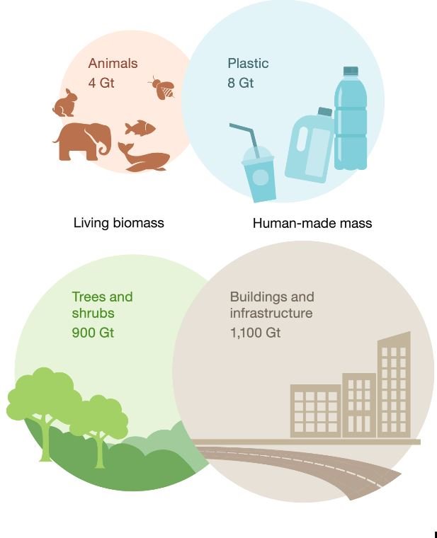Comparativa masa antropogénica / biomasa para el año 2020