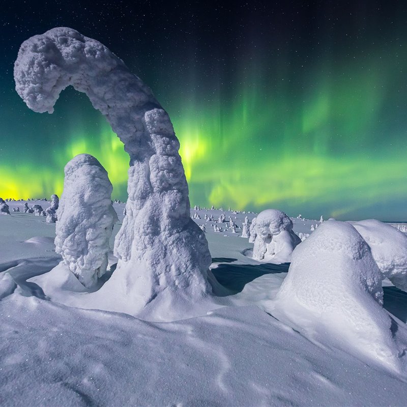 Las mejores fotos de auroras boreales de 2020