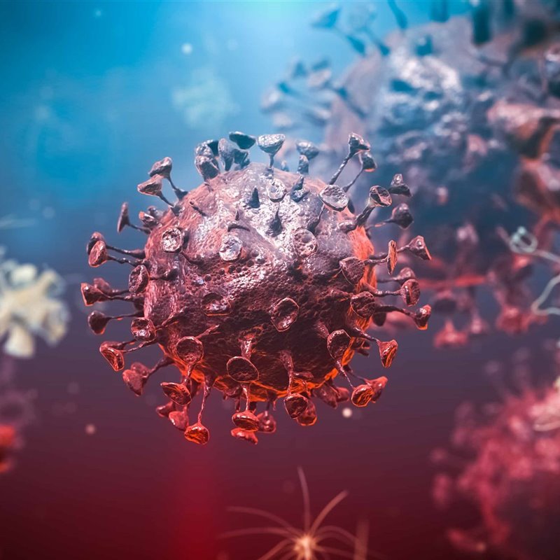 Esto es lo que se sabe sobre la nueva variante del coronavirus