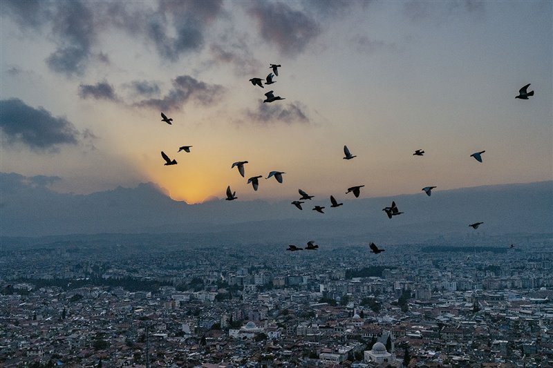 Las palomas sobrevuelan al anochecer la ciudad turca de Hatay. Cientos de miles de sirios han hallado refugio en  esta zona cercana a la frontera siria. Turquía alberga la mayor población de refugiados del mundo, entre ellos 3,6 millones de sirios.