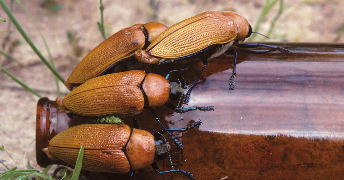 www.nationalgeographic.com.es