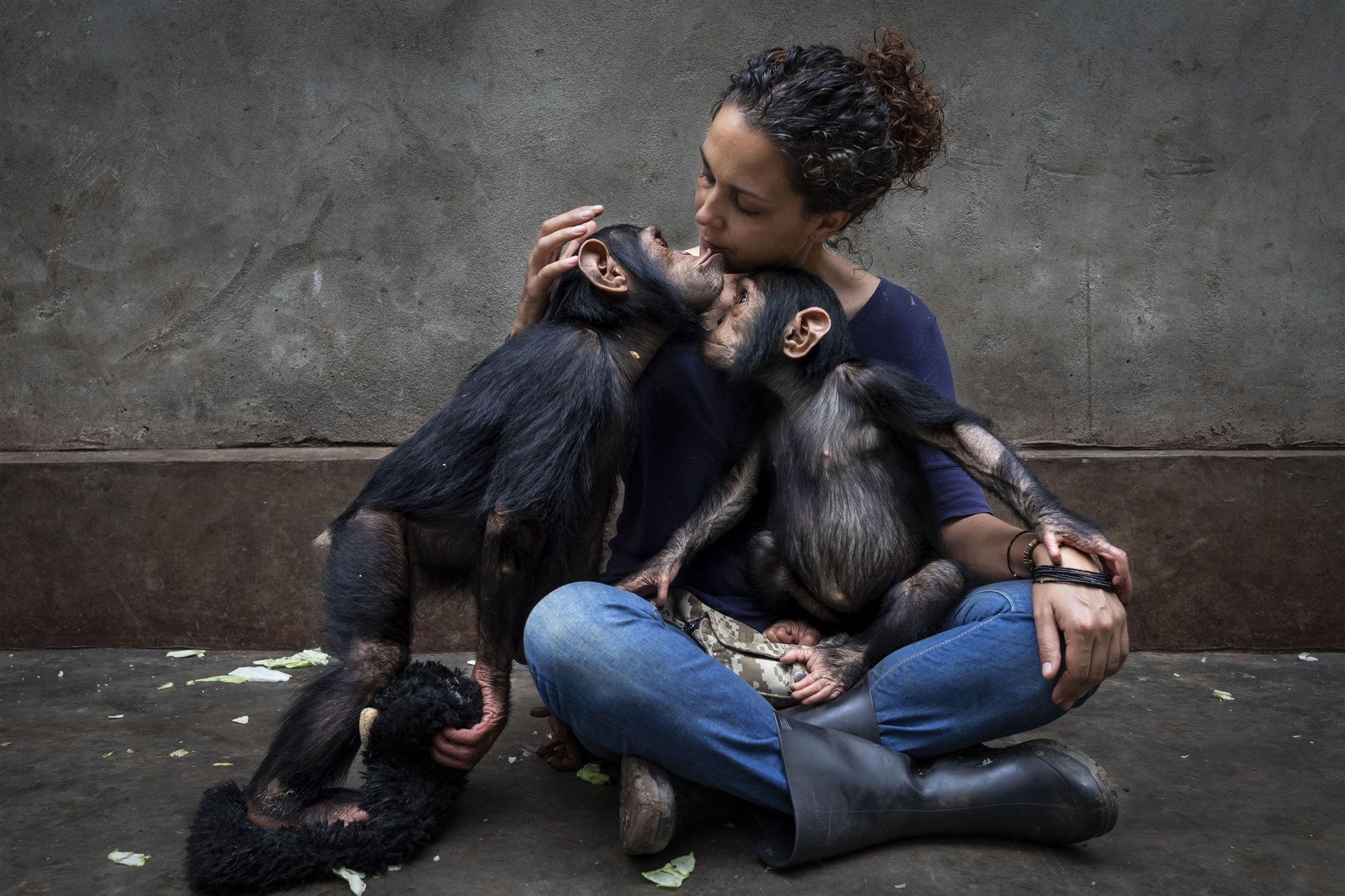 Saving Chimps in the Congo I 