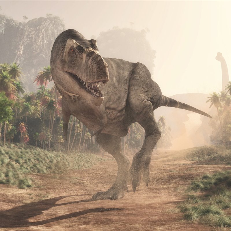 El Tyrannosaurus rex, de más de 1.000 kilos, podía alcanzar los 12 metros de longitud y los tres metros de altura.