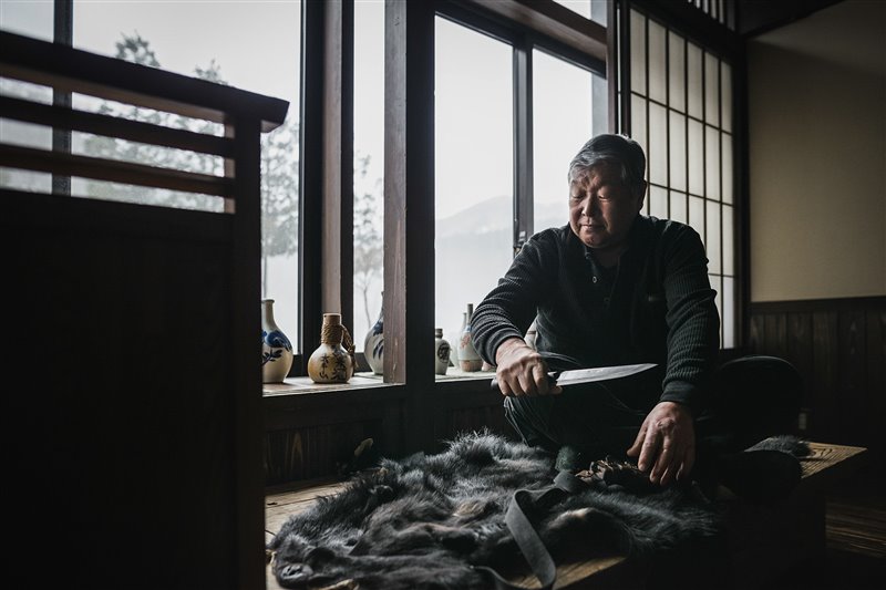 Hideo Suzuki, venerable líder de la comunidad matagi de Ani, examina una reliquia que ha pertenecido a su familia durante generaciones: un nagasa de finales del siglo XIX. Tradicionalmente estos cuchillos se forjaban con la empuñadura hueca para ensamblarlos en una vara y convertirlos en lanza.