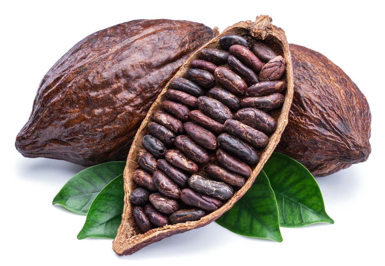 Semillas de cacao 