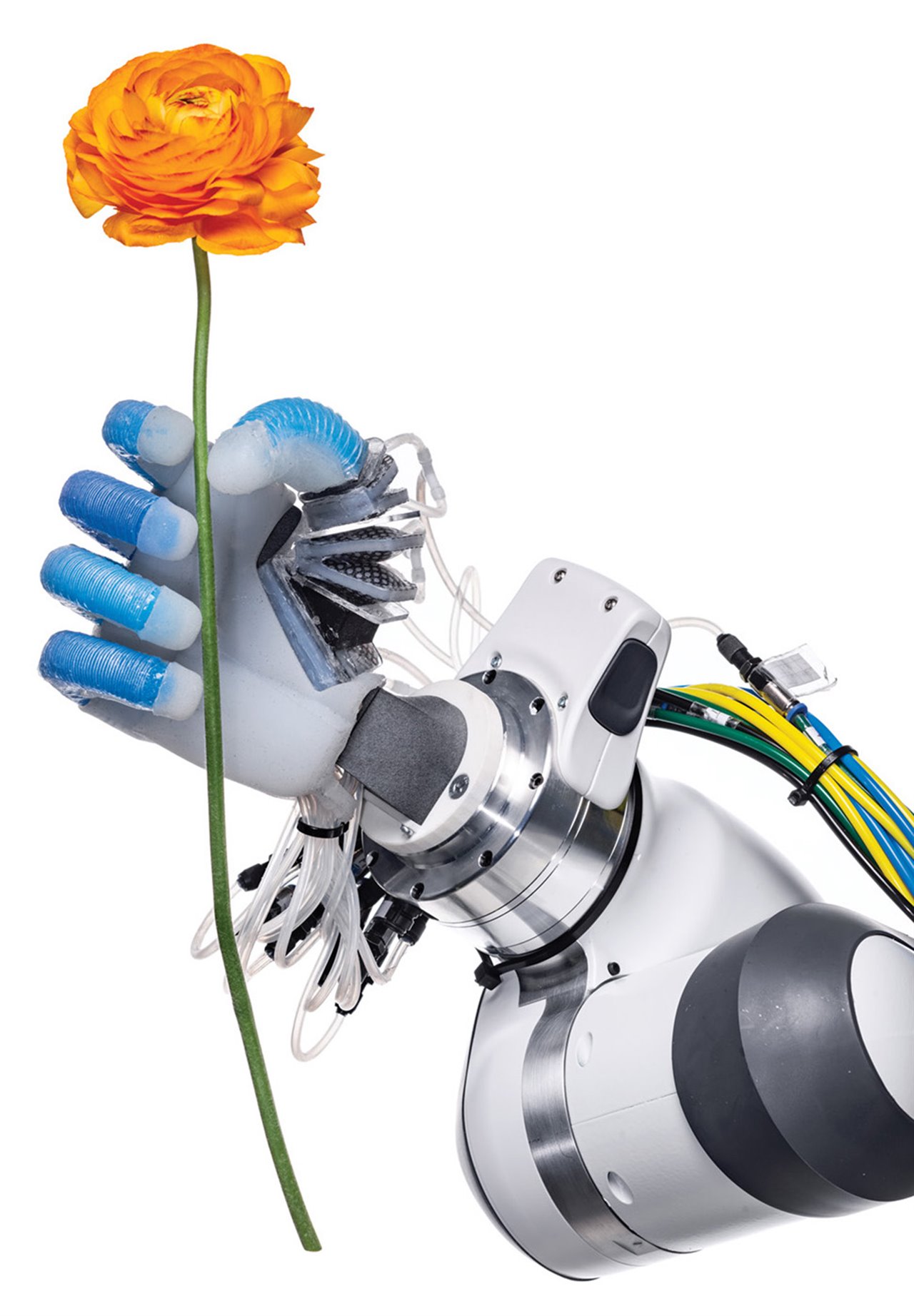 Ejerciendo un agarre firme pero delicado, esta mano robótica  del Laboratorio de Robótica y Biología de la Universidad Técnica de Berlín toma una flor con sus dedos neumáticos. Con los últimos avances, los robots están más cerca que nunca de reproducir habilidades humanas.