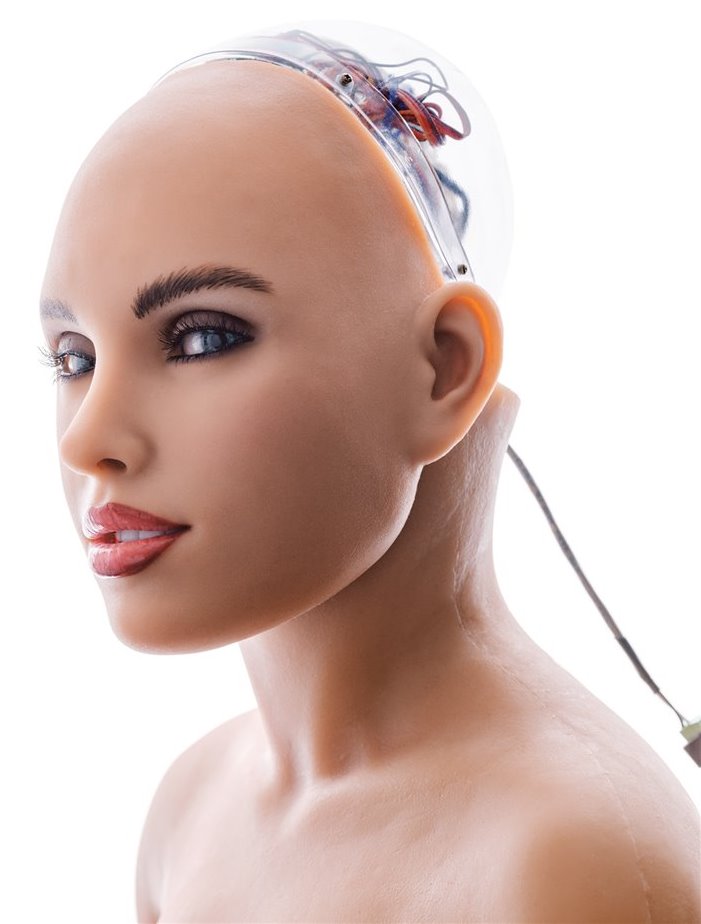 Algunos expertos en robótica crean máquinas que imitan a los humanos al detalle; es el caso de Harmony, una cabeza parlante que se monta en la muñeca sexual de silicona y acero fabricada por Abyss Creations.