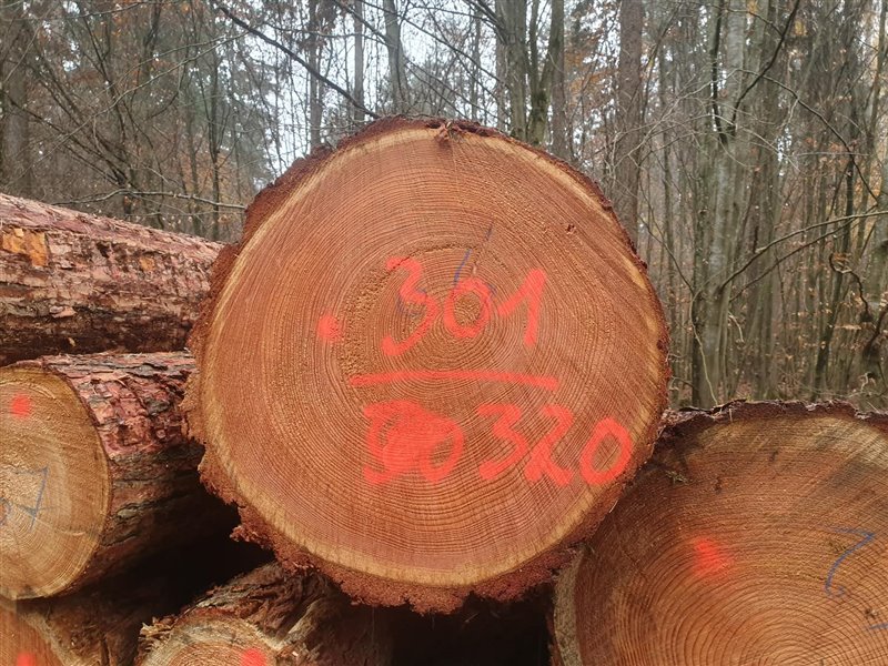 La madera mantiene el carbono fijado a lo largo del ciclo de vida de sus productos.