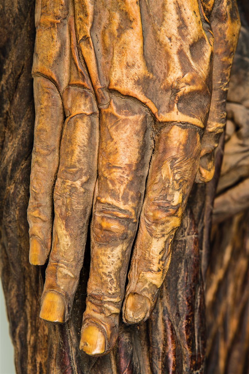El tratamiento de mirlado ha preservado a la momia guanche del MAN con un realismo sorprendente. Era un varón de entre 35 y 40 años de edad que vivió hace casi 900 años.