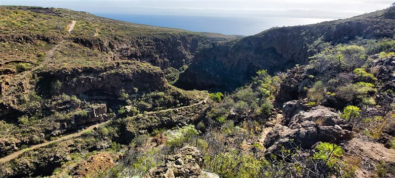 Entre los cientos de grutas que horadan el barranco de Herques, o de los Muertos, en Tenerife, las crónicas sitúan la cueva de las Mil Momias.