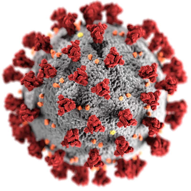 Coronavirus: aviso a nuestros suscriptores